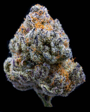 Blue Nerdz